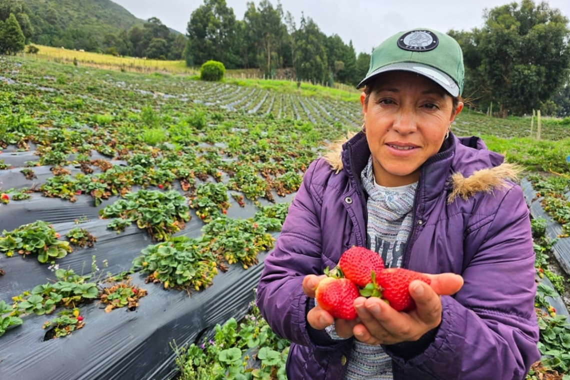 Mujeres rurales: motor de la economía