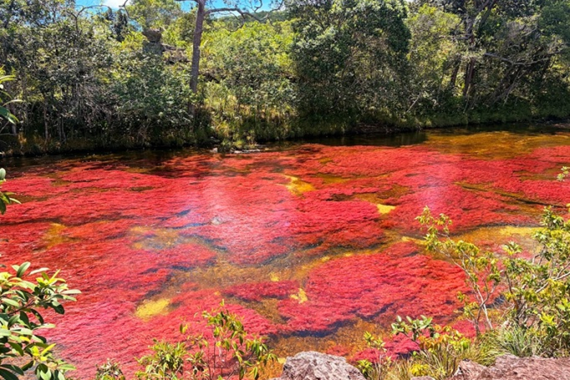 Caño Cristales, la puerta de entrada a un territorio cautivador