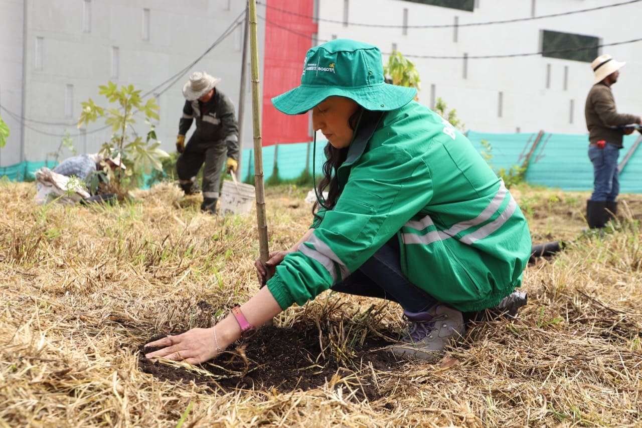 Foto: Alcaldía Mayor de Bogotá