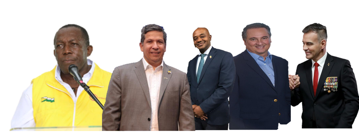 Los cinco jinetes a la vicepresidencia