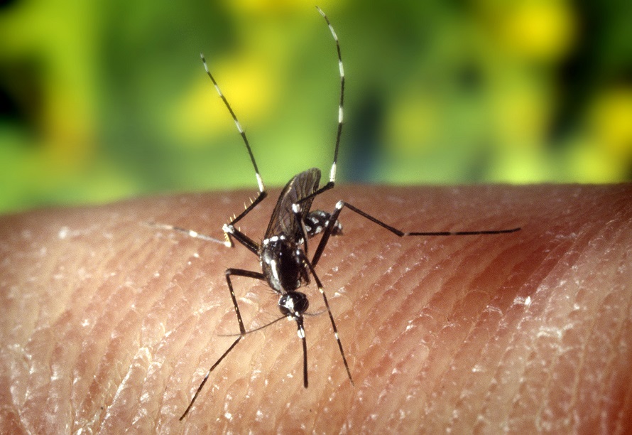 Colombia, alerta por aumento en casos de Dengue